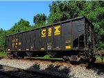 CSX 837501 (1)